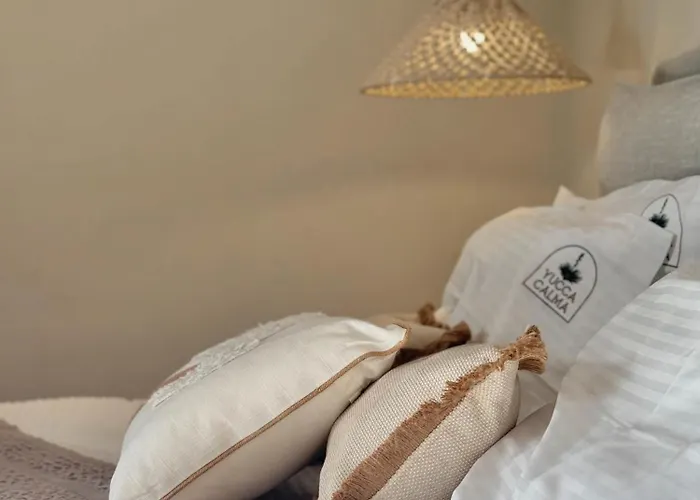 Pensiune Yucca Calma