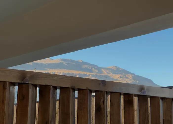 Pensiune Yucca Calma 4*