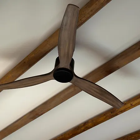 Yucca Calma Gasthuis 4*